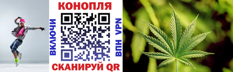 Каннабис OG Kush  блэк спрут   Темников 